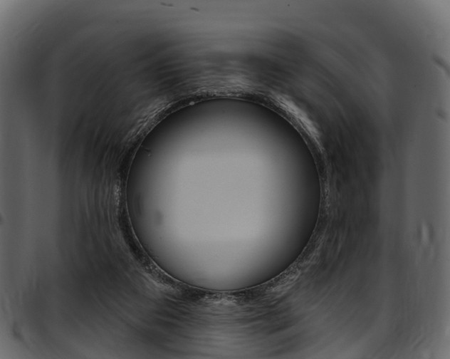 X0000097610113200802290805