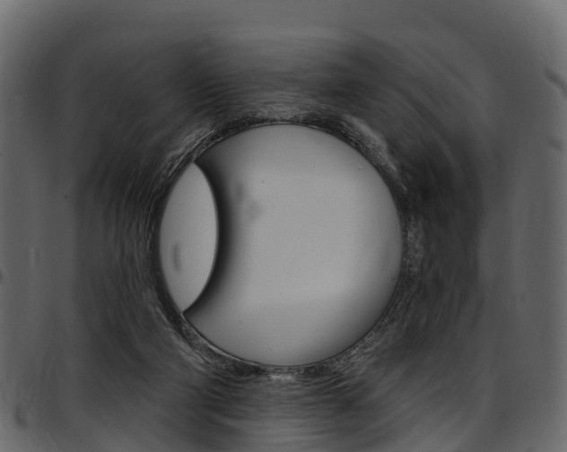 X0000097610114200802290805