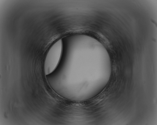 X0000097610115200802290805