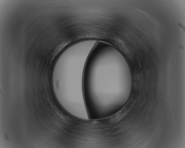 X0000097610116200802290805