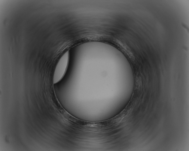 X0000097610117200802290805