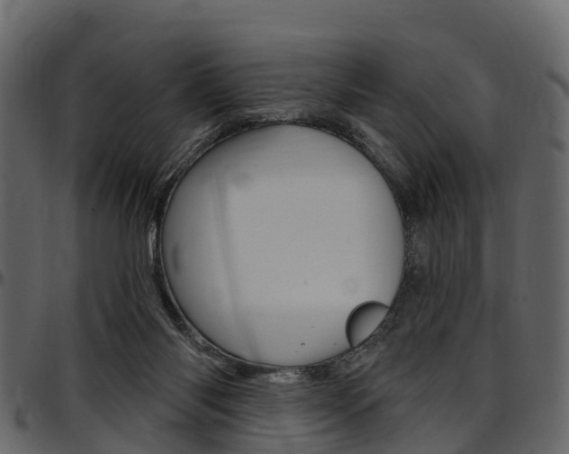 X0000097610118200802290805