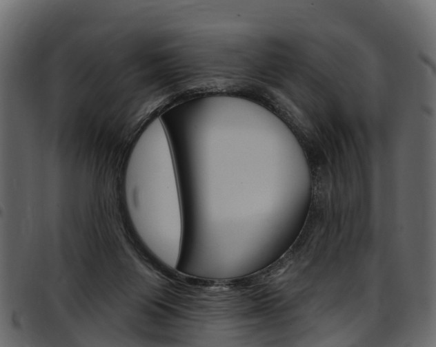 X0000097610119200802290805