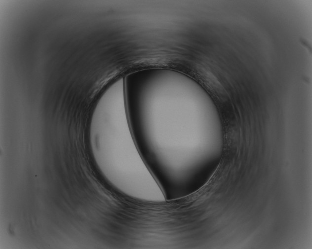 X0000097610120200802290805