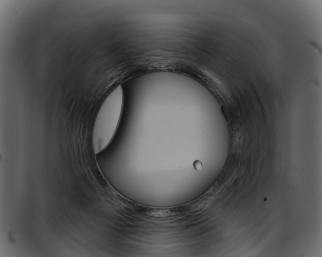 X0000097610121200802290805
