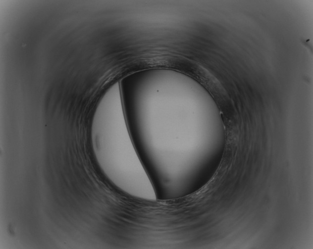 X0000097610124200802290805