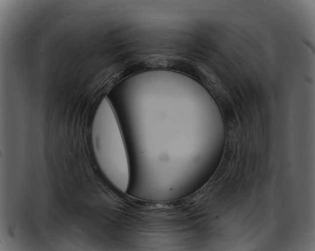 X0000097610125200802290805