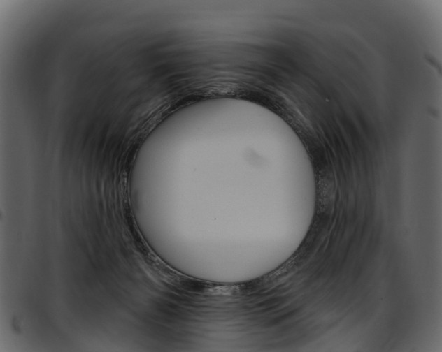 X0000097610126200802290805