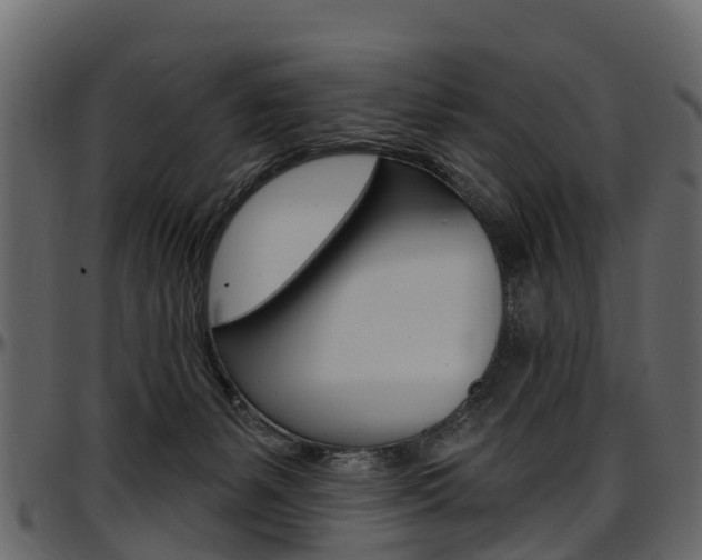 X0000097610127200802290805