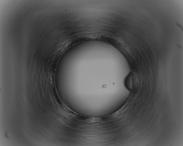 X0000097610128200802290805