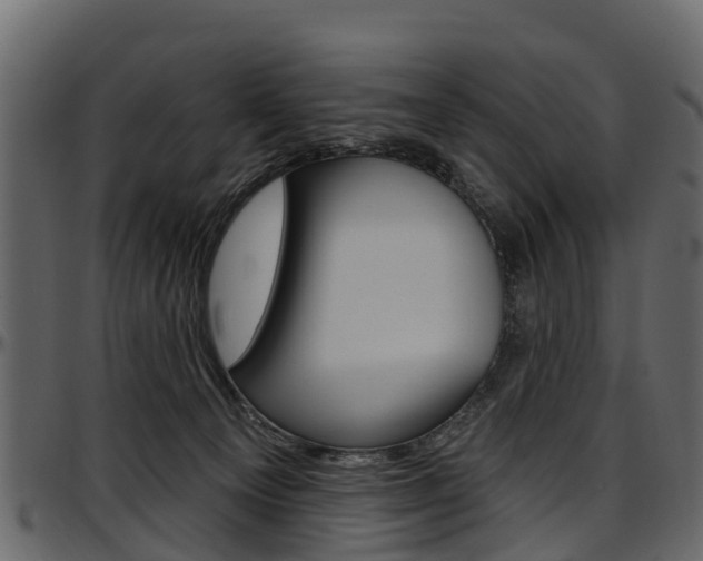 X0000097610129200802290805