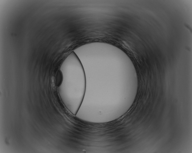 X0000097610130200802290805