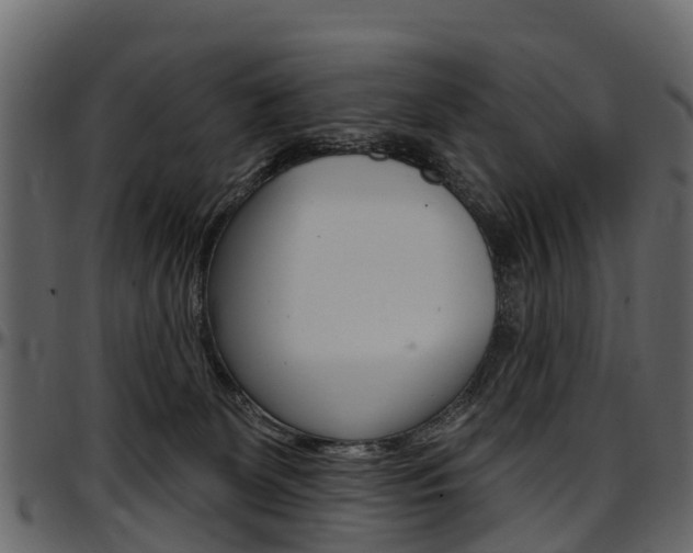 X0000097610131200802290805