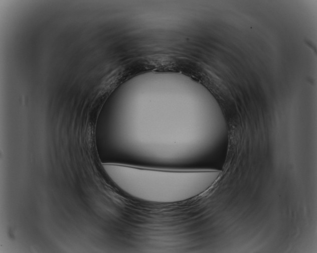 X0000097610132200802290805