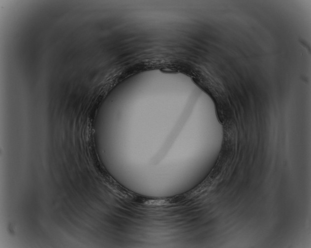 X0000097610133200802290805