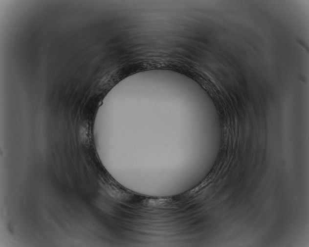 X0000097610134200802290805