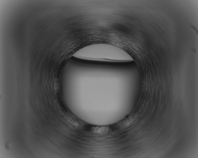 X0000097610135200802290805