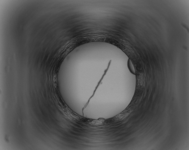 X0000097610138200802290805