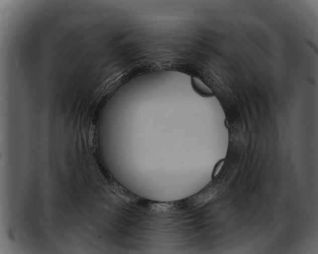 X0000097610139200802290805