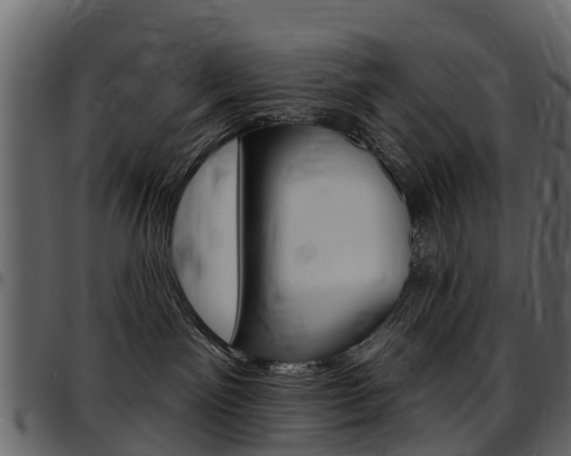 X0000097610141200802290805