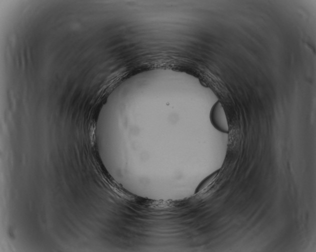 X0000097610142200802290805
