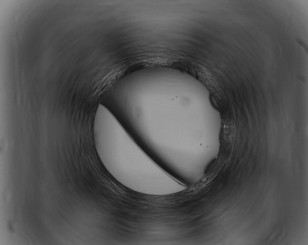 X0000097610143200802290805
