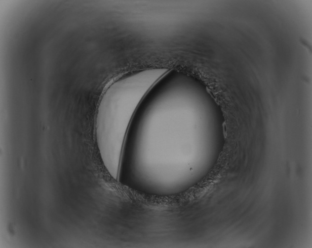 X0000097610144200802290805