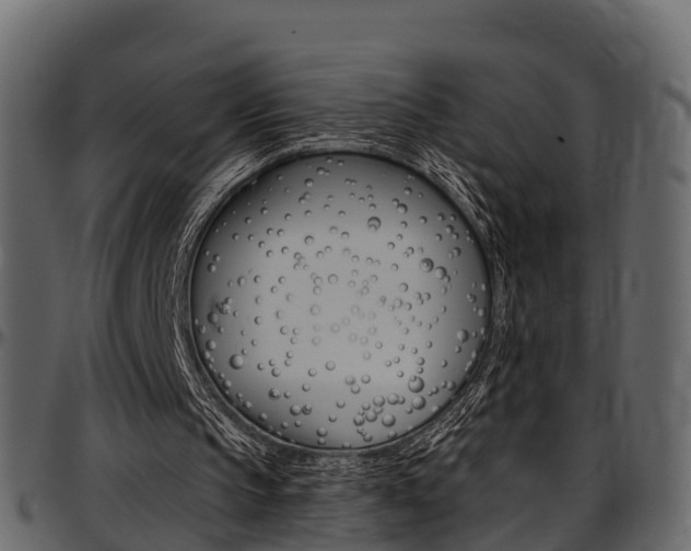 X0000097610145200802290804