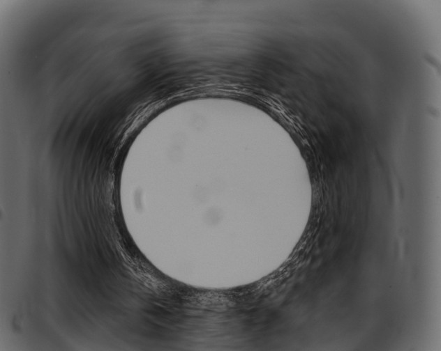 X0000097610146200802290804