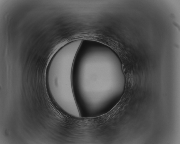 X0000097610148200802290804