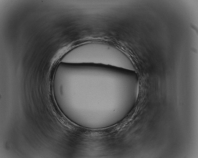 X0000097610149200802290804