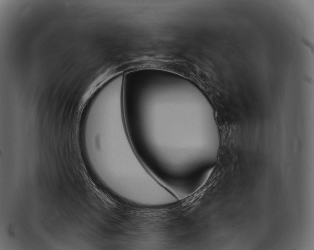 X0000097610150200802290804
