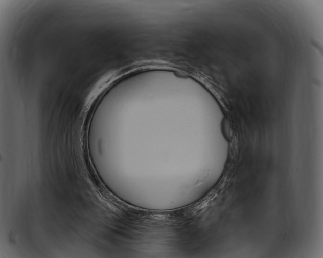 X0000097610151200802290804