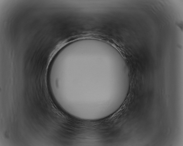 X0000097610152200802290804