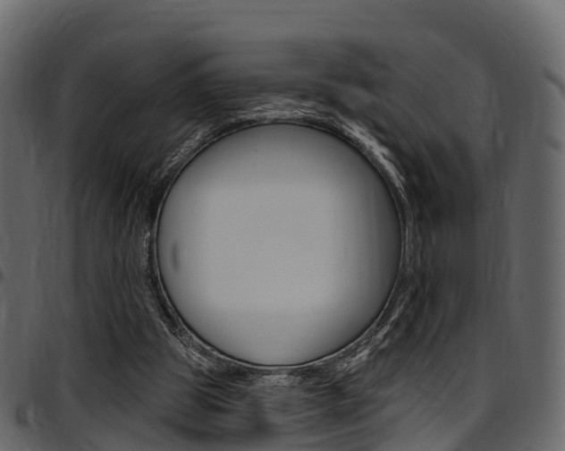 X0000097610153200802290804