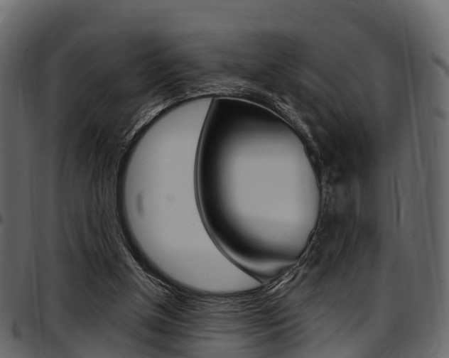 X0000097610154200802290804