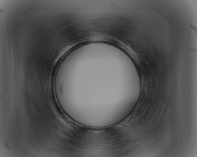 X0000097610155200802290804
