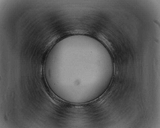 X0000097610157200802290804