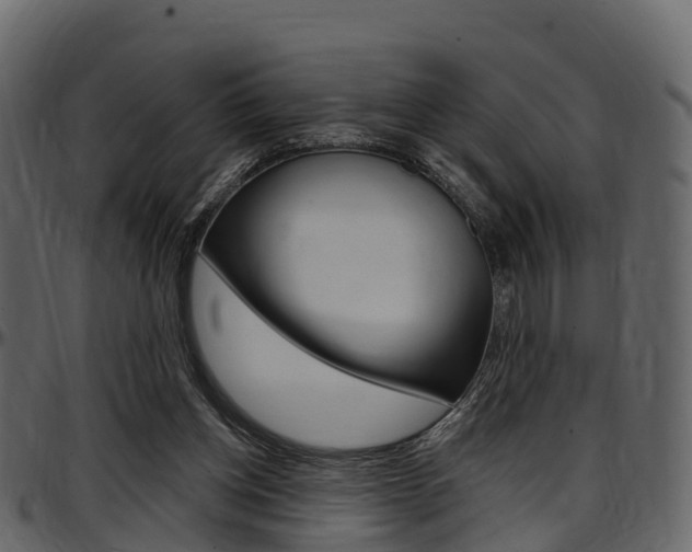 X0000097610158200802290804