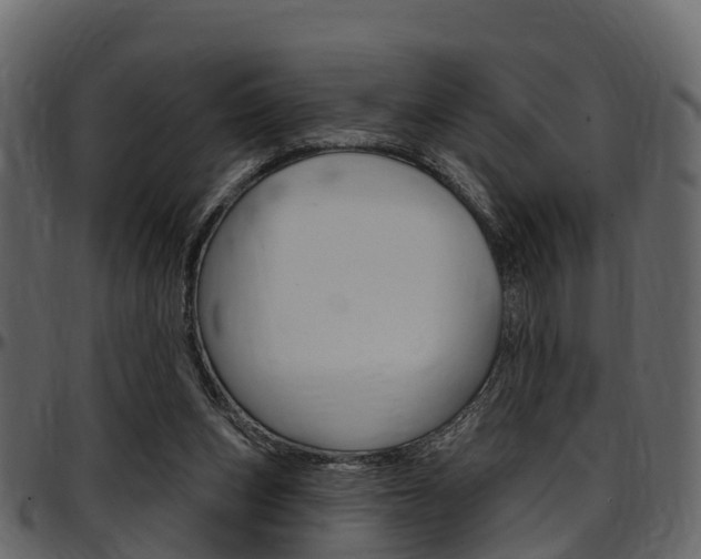X0000097610159200802290804