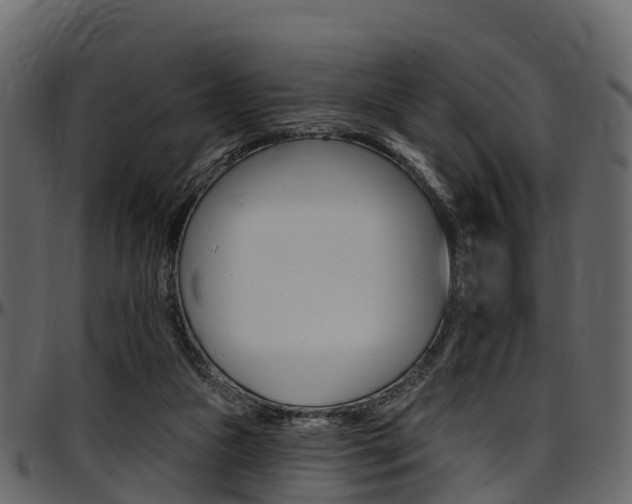 X0000097610161200802290804