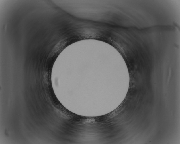 X0000097610162200802290804