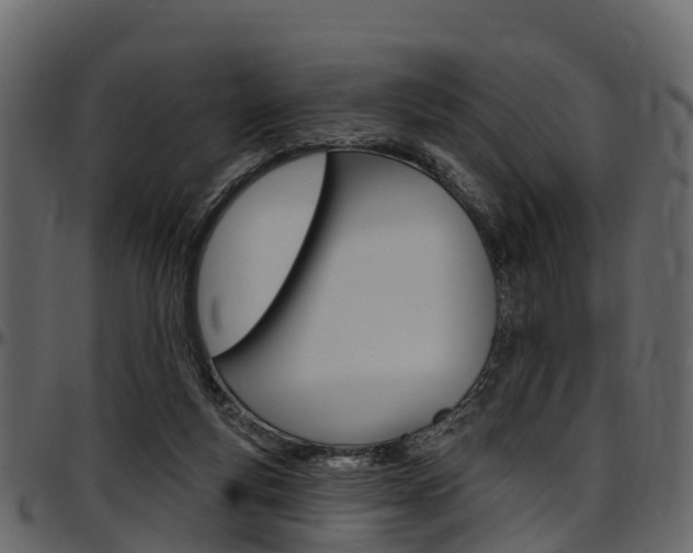 X0000097610163200802290805