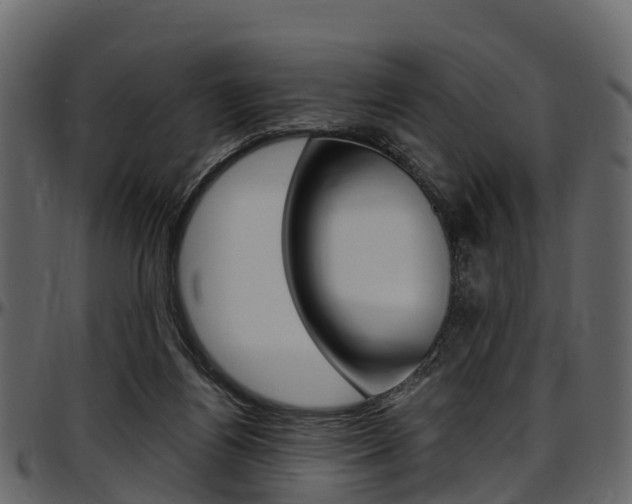 X0000097610164200802290805