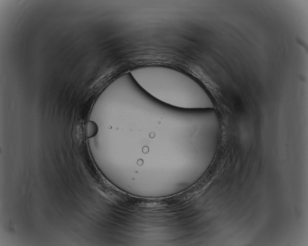 X0000097610165200802290805