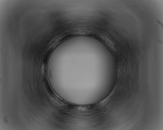 X0000097610166200802290805