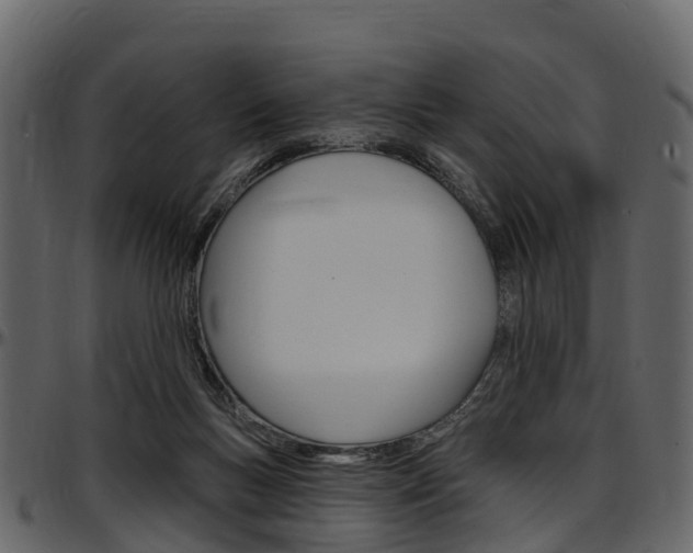 X0000097610167200802290805