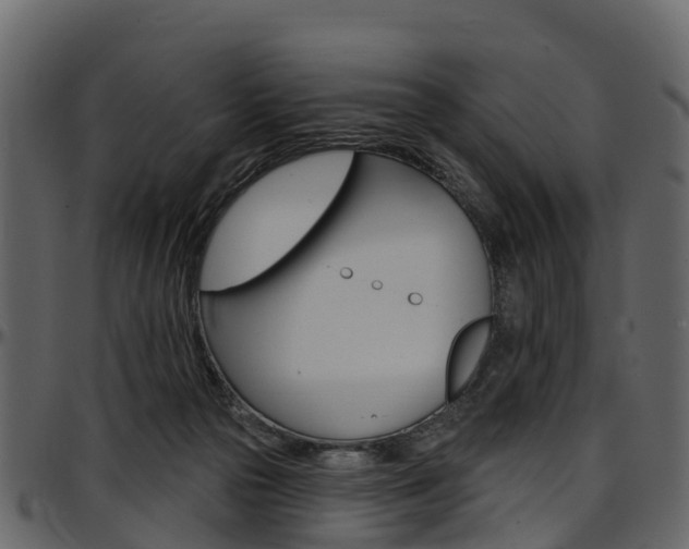 X0000097610169200802290805