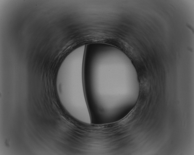 X0000097610170200802290805
