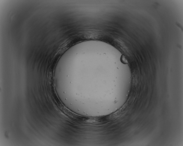 X0000097610171200802290805